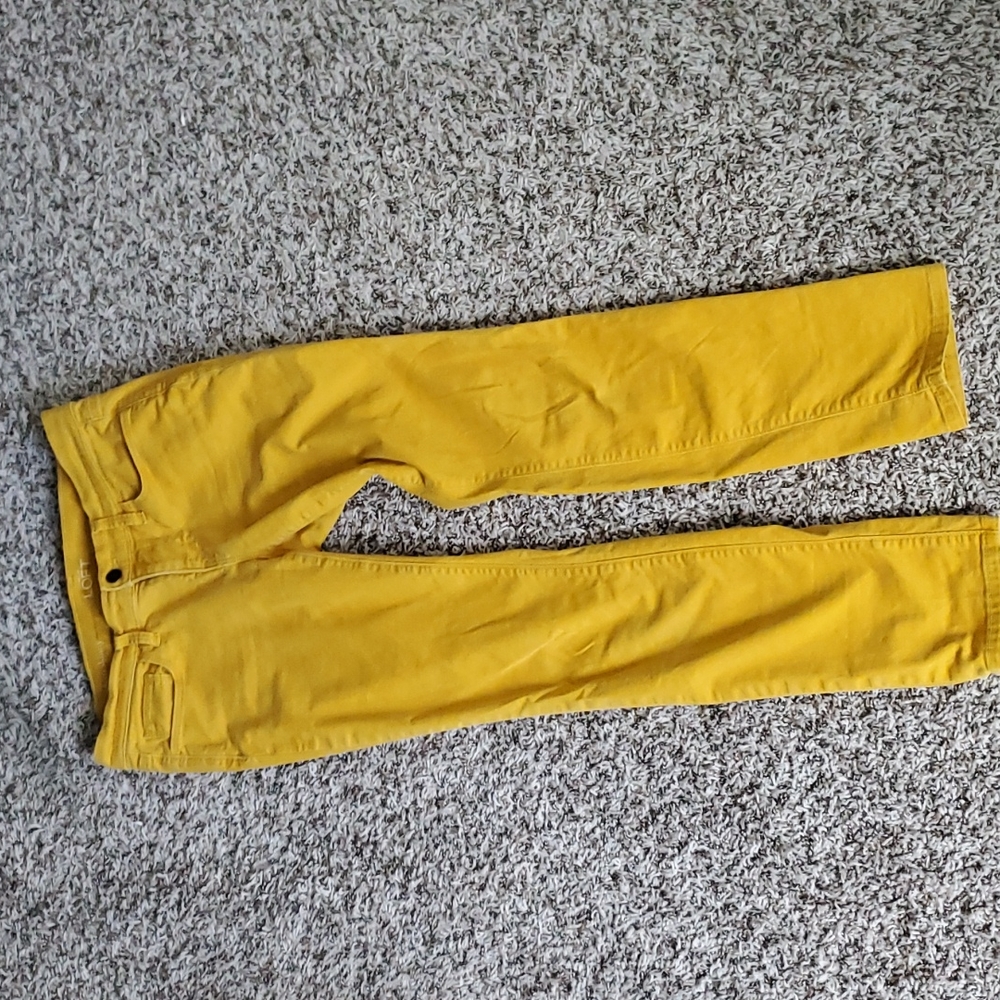 Loft Modern Skinny Pants